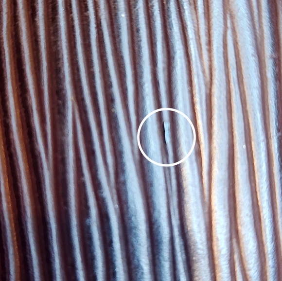 Louis Vuitton Epi Zippy Wallet - Picture 9 of 17